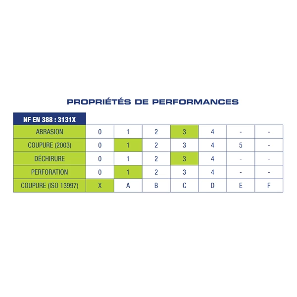 Gypso Gants De Manutention Gant Manutention Polyester Enduction Polyuréthane Taille 9 33-FG313-CHA9